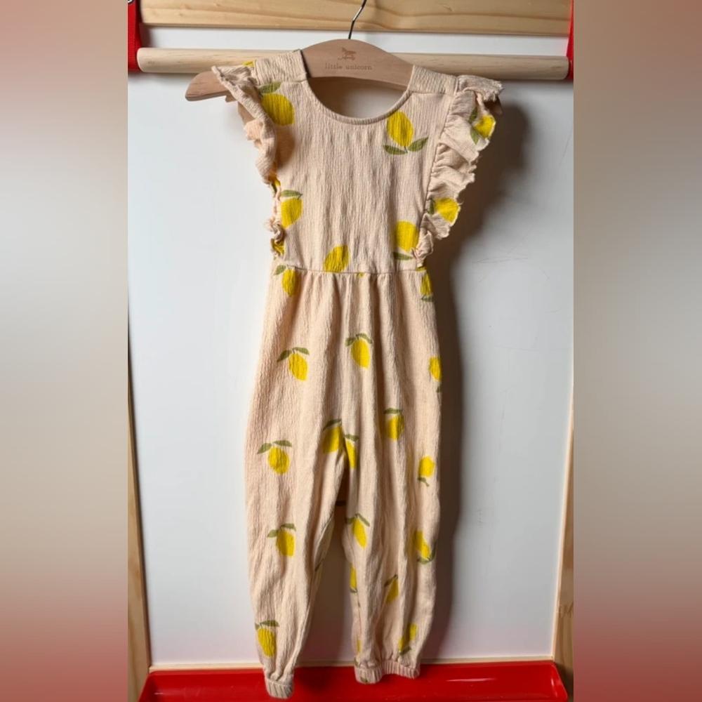 Zara Peach and Lemon Print Cotton Jumpsuit